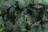 Fluorescent Green Fluorite Cluster - Diana Maria Mine, England #318826-1